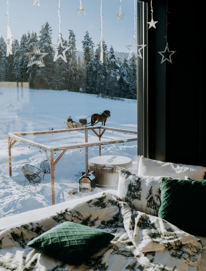 Chalet Oto.domki Rokiciny Podhalanskie